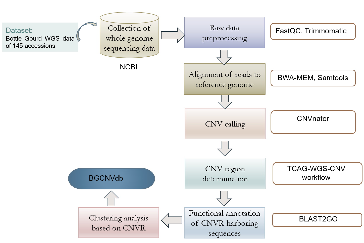 CNV analysis flowchart for Lagenaria siceraria